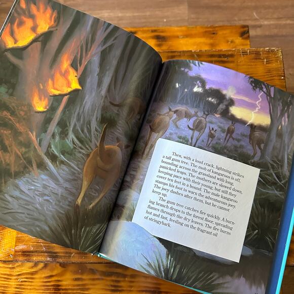 Kangaroo Island A Story Of An Australian Mallee Forest Hardcover Book - Picture 4 of 6